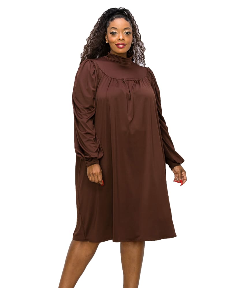 Front of a model wearing a size 1X Amal Mock Neck Dress in Dark Mocha by L I V D. | dia_product_style_image_id:271086